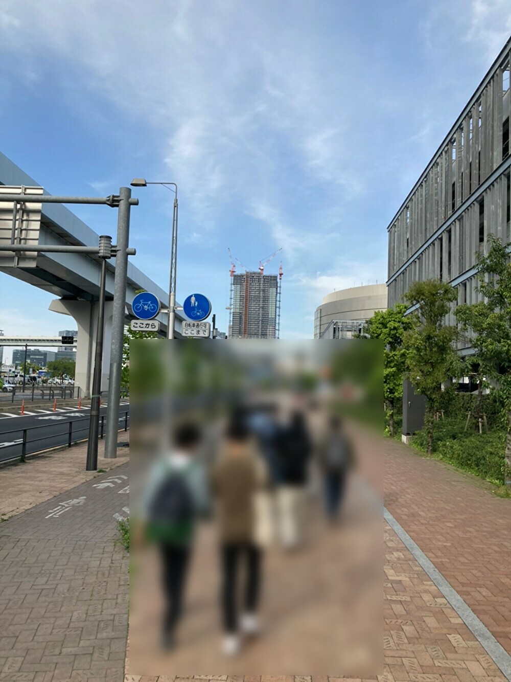 散歩の様子