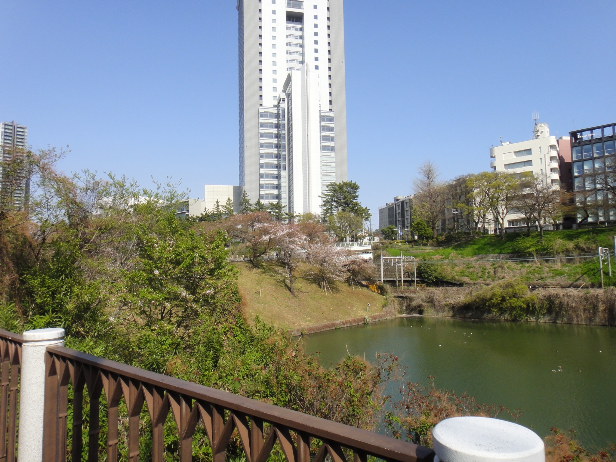 市ヶ谷キャンパス近くにある江戸城のお堀