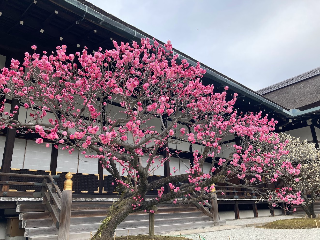 平安神宮
