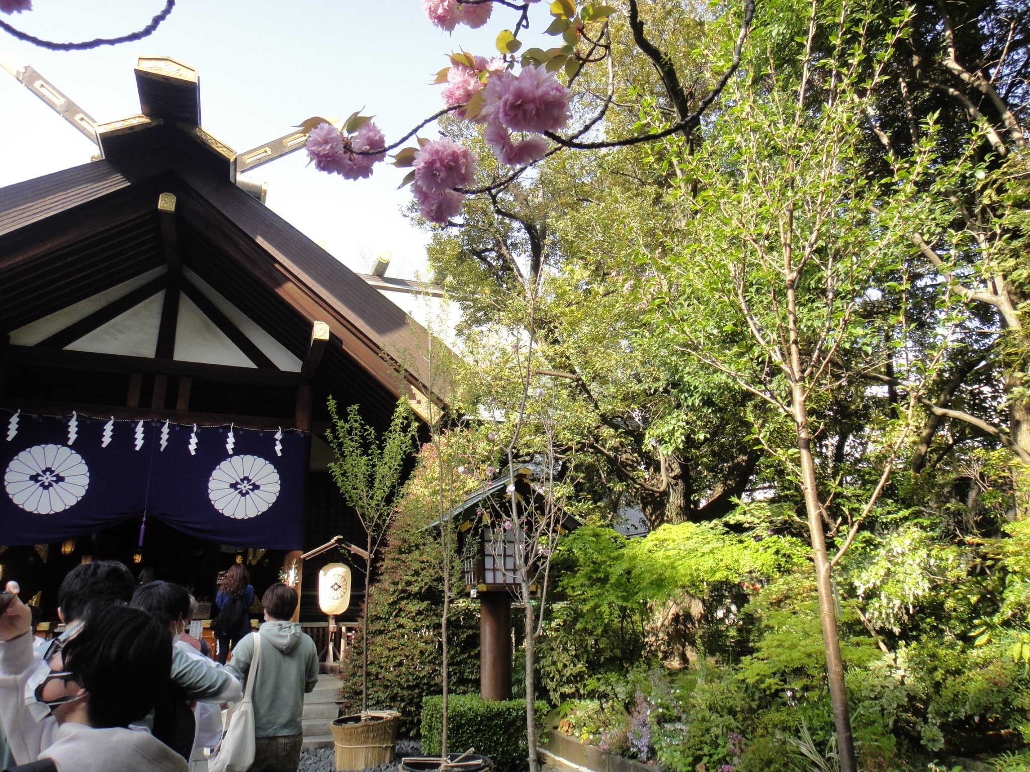 東京大神宮